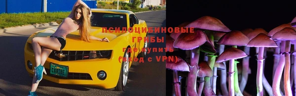 каннабис Алексеевка